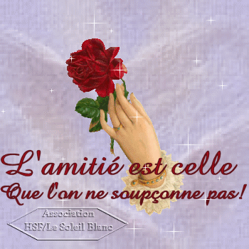 L'amitié..